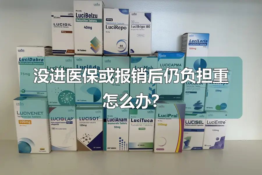 没进医保或报销后仍负担重怎么办?